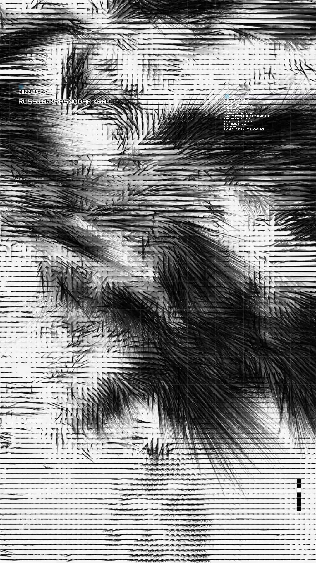 Optical Flow