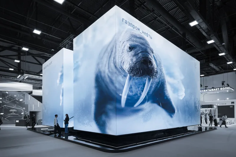 Into the Arctic